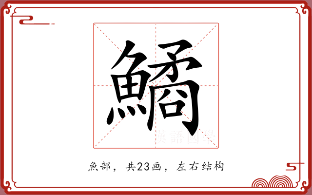 鱊
