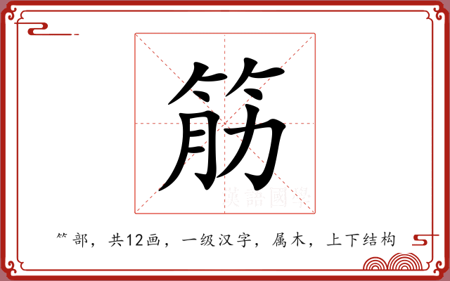 筋 筋
