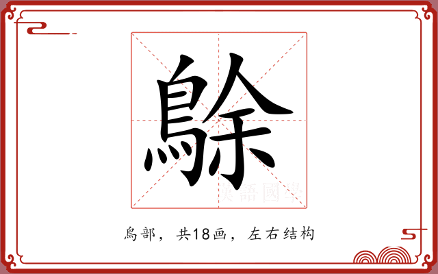 鵌