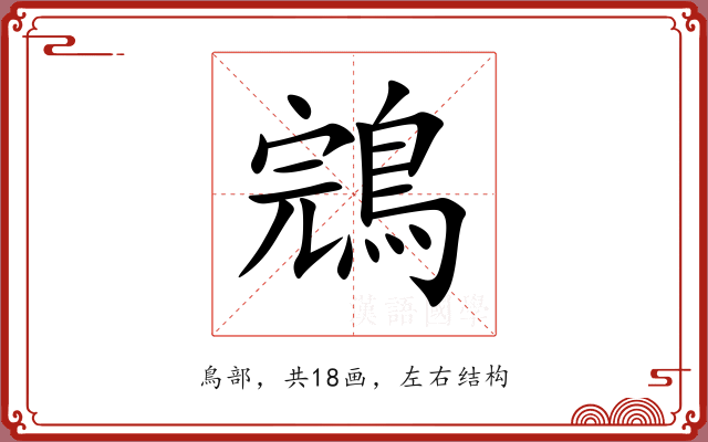 鵍