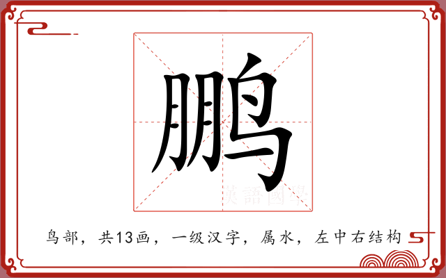 鹏 鹏