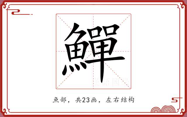 鱓