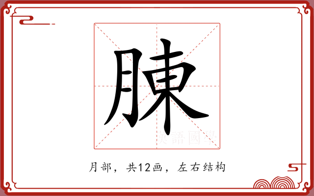 腖