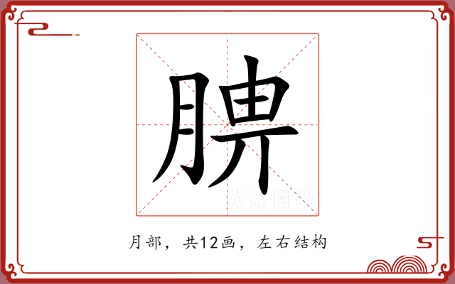 腗