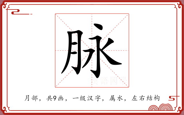 脉 脉